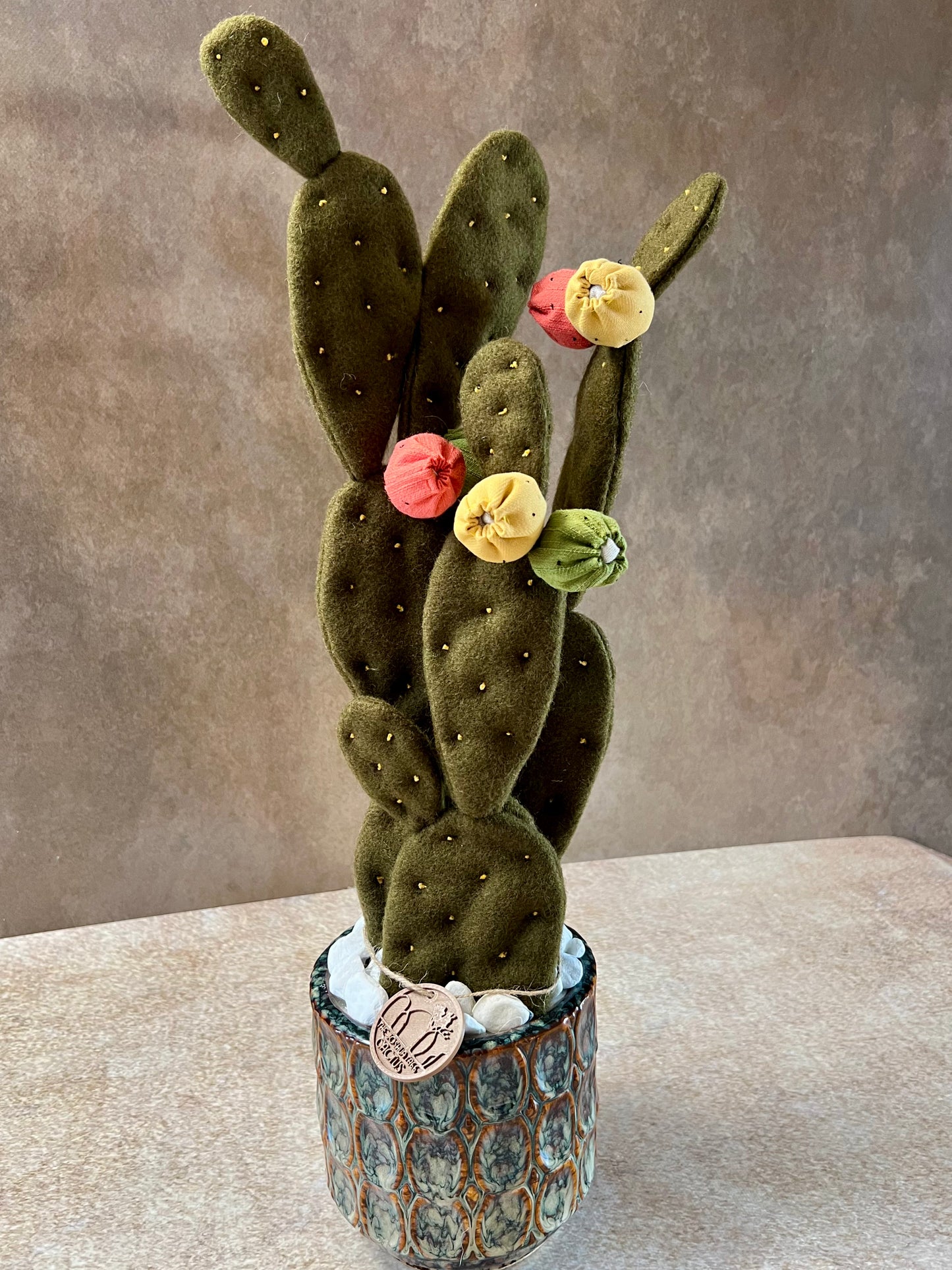 Opuntia