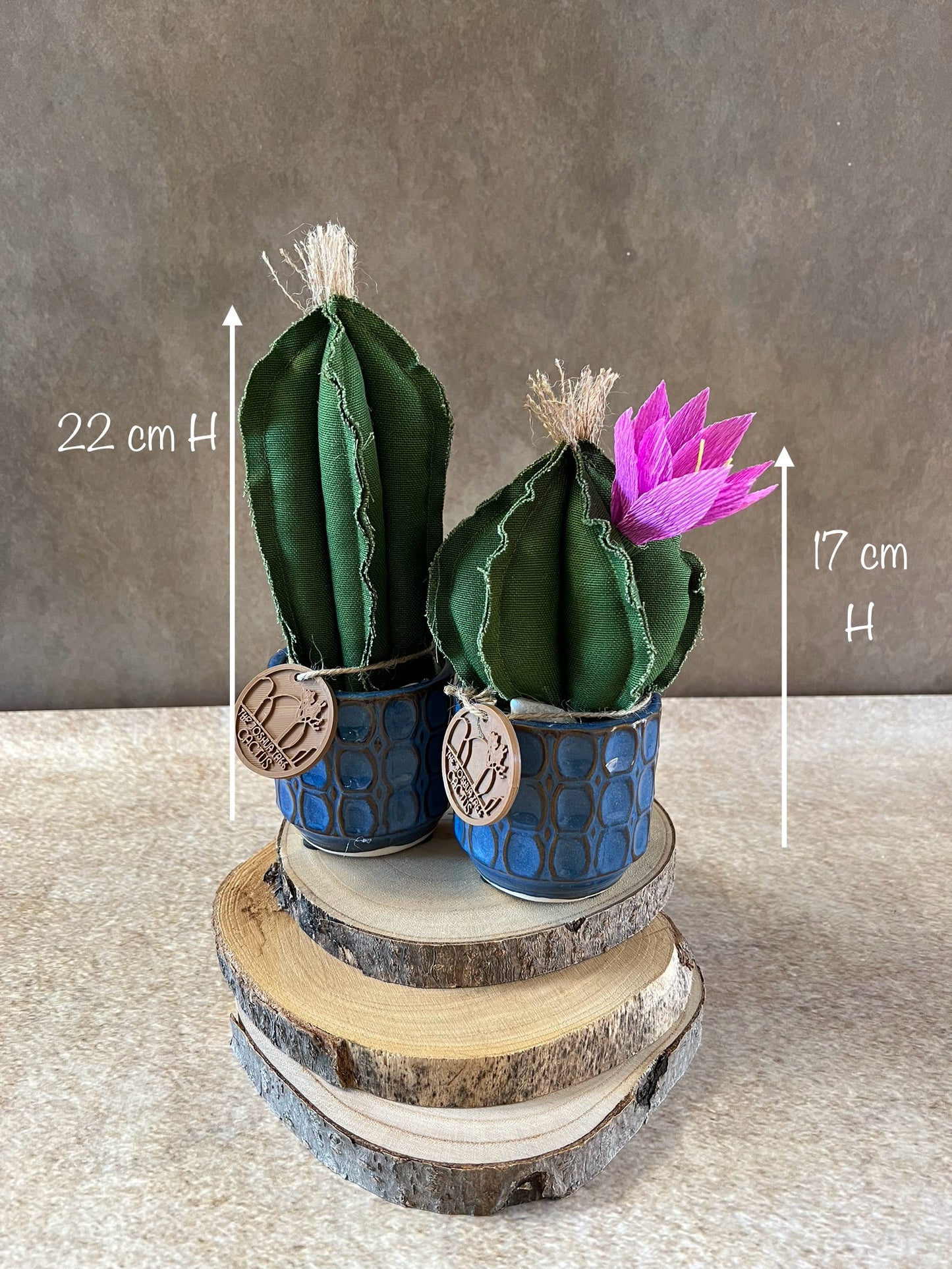Coppia di Mini Cactus in cotone verde scuro, vaso in ceramica lucida color blu con motivo geometrico, altezza circa 17 cm e 22 cm.