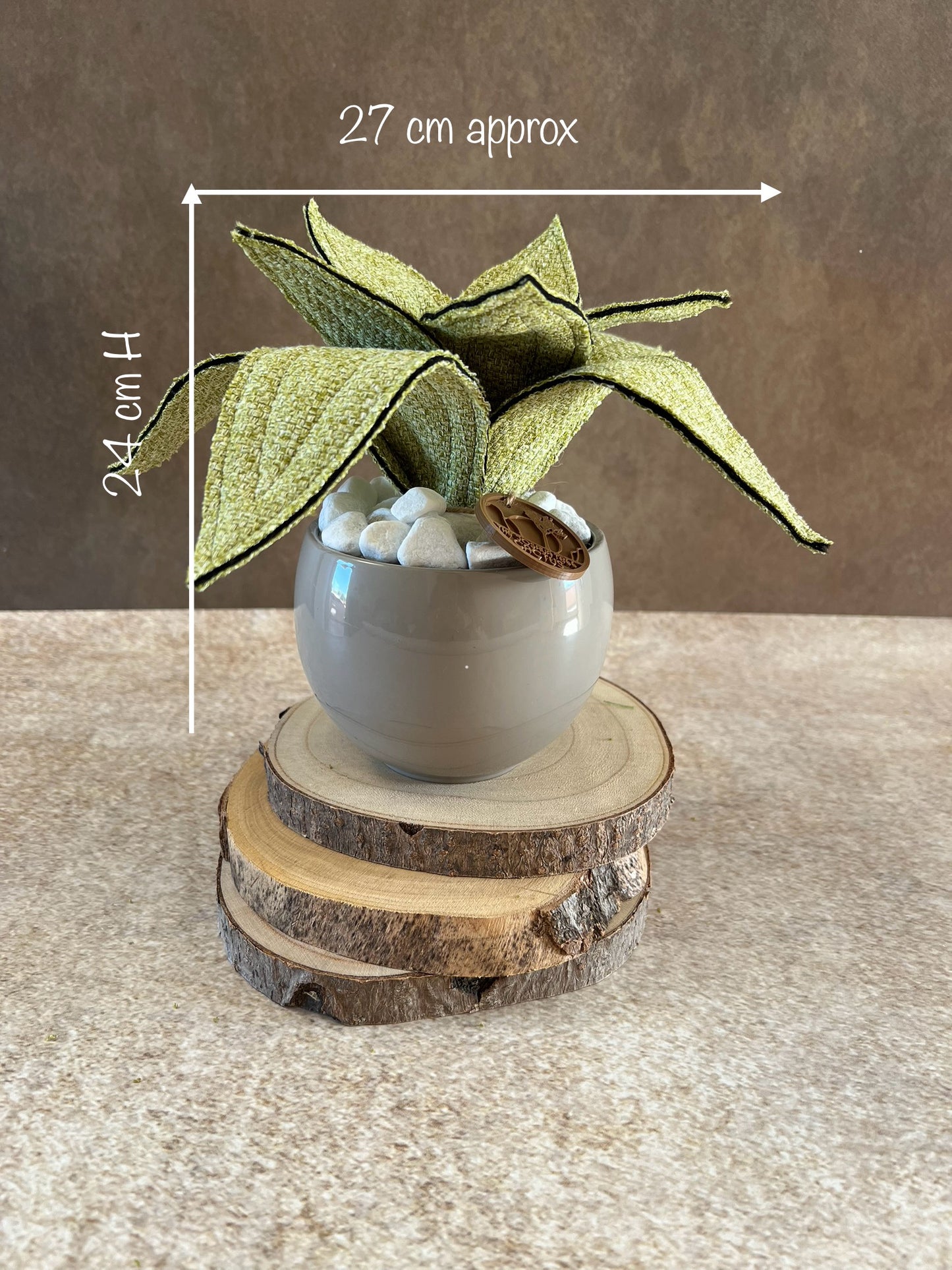 Agave mini