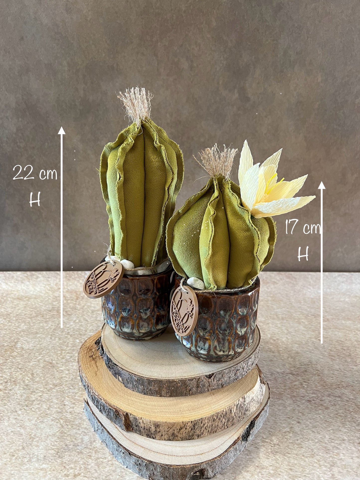 Coppia di mini Cactus in velluto verde, vaso in ceramica lucida color marrone con sfumature grigio/azzurro, altezza circa 22 cm e 17 cm.