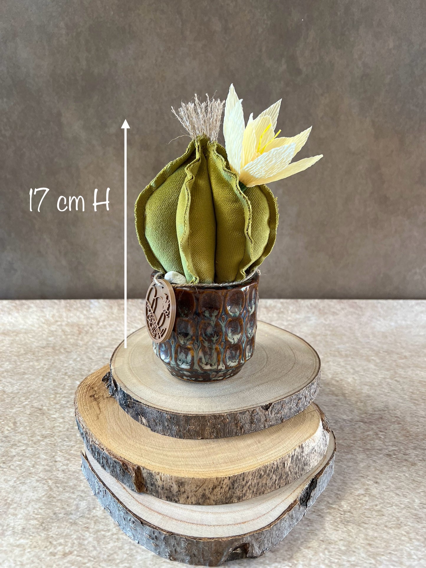 Mini Cactus in velluto verde, vaso in ceramica lucida color marrone con sfumature grigio/azzurro, altezza circa 17 cm.