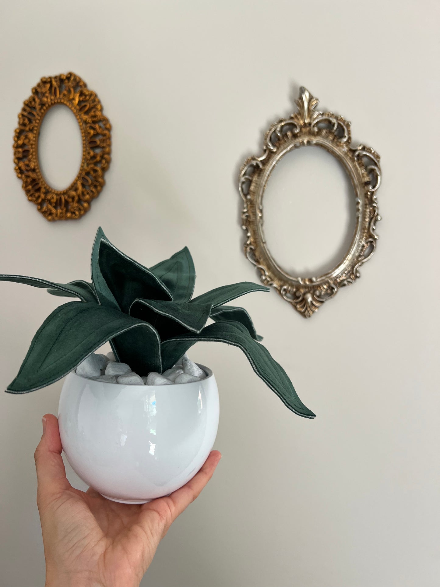 Agave mini in velluto verde scuro