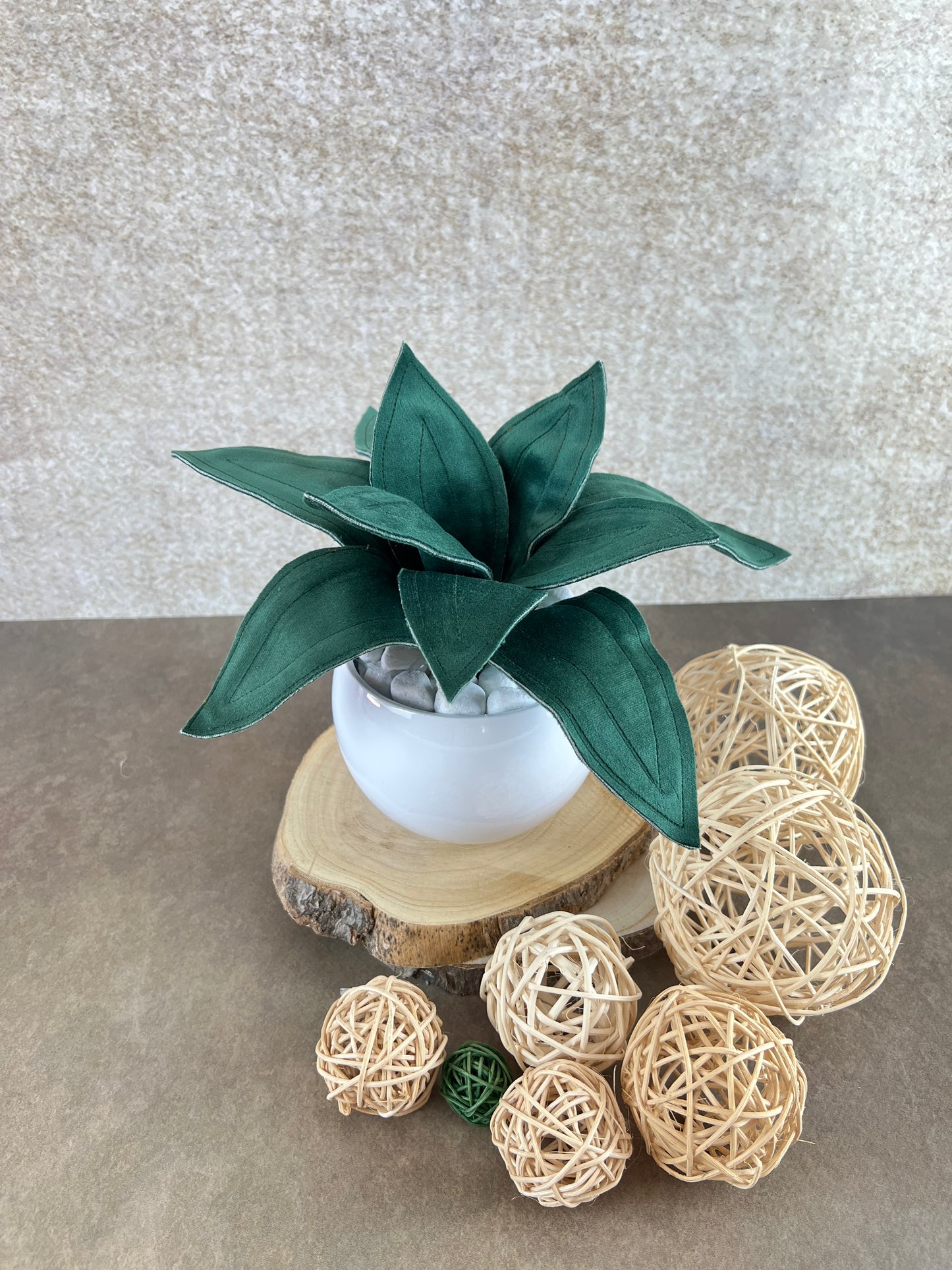 Agave mini in velluto verde scuro