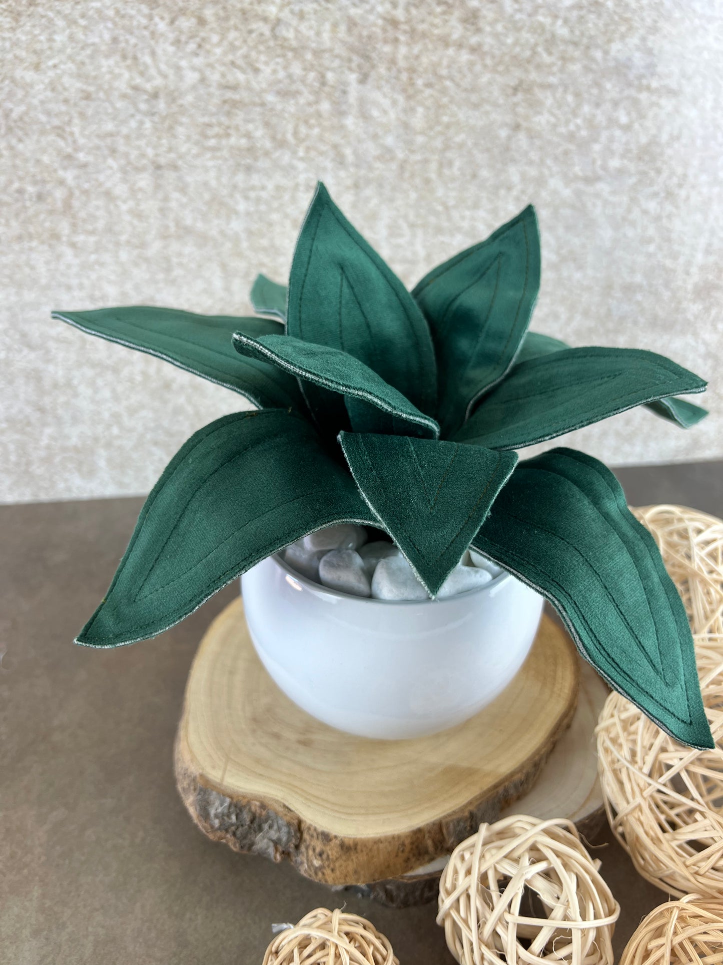 Agave mini in velluto verde scuro
