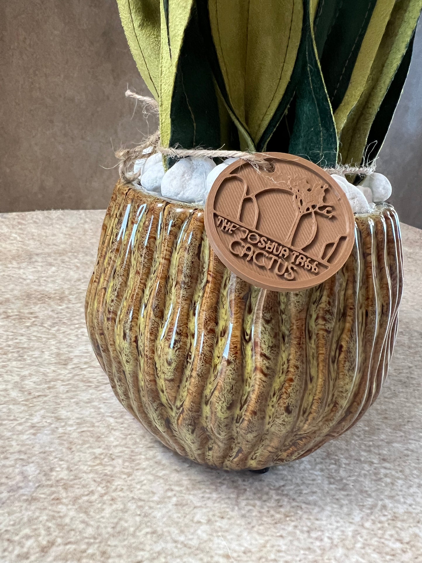 Sanseveria
