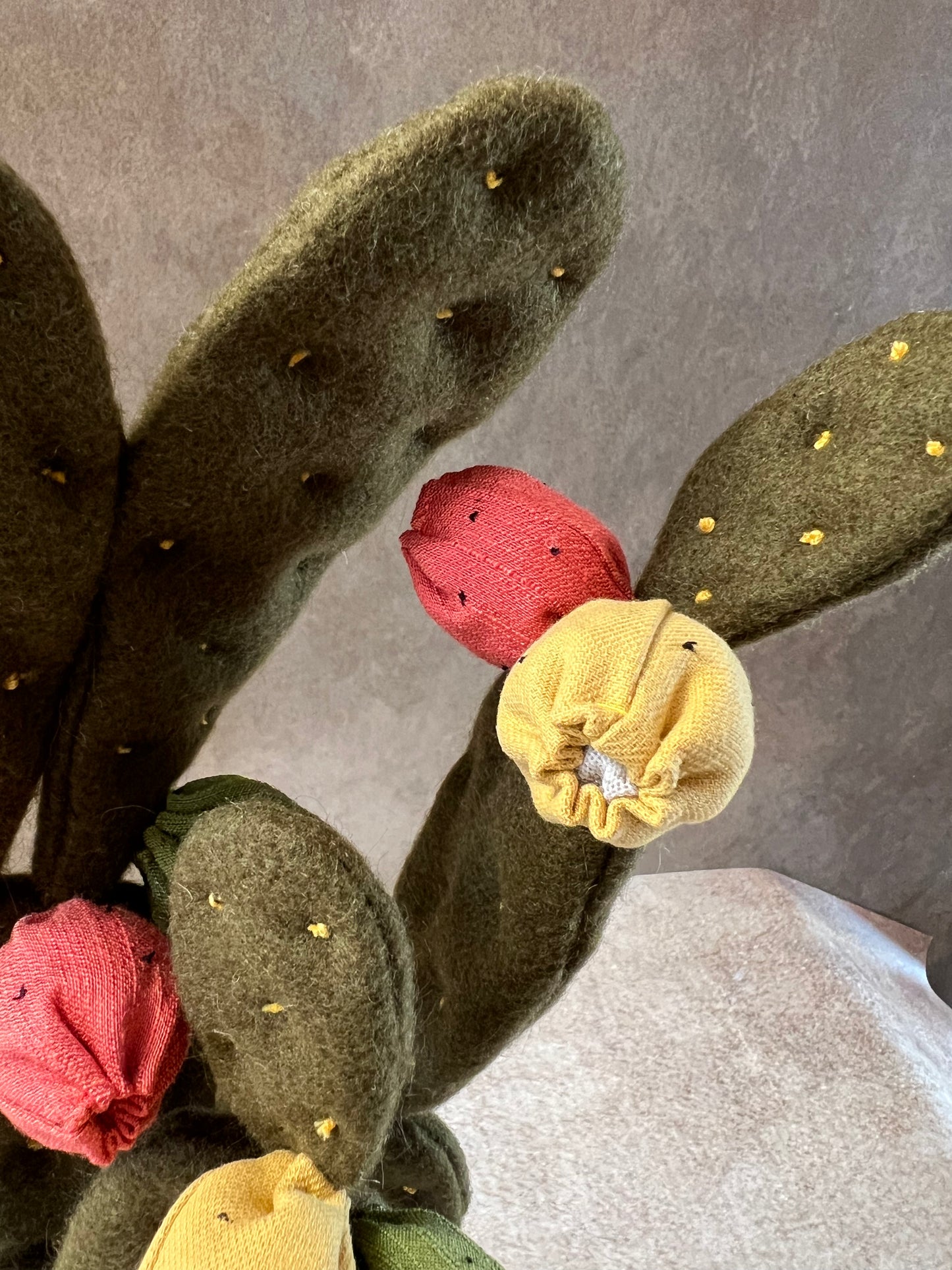 Opuntia