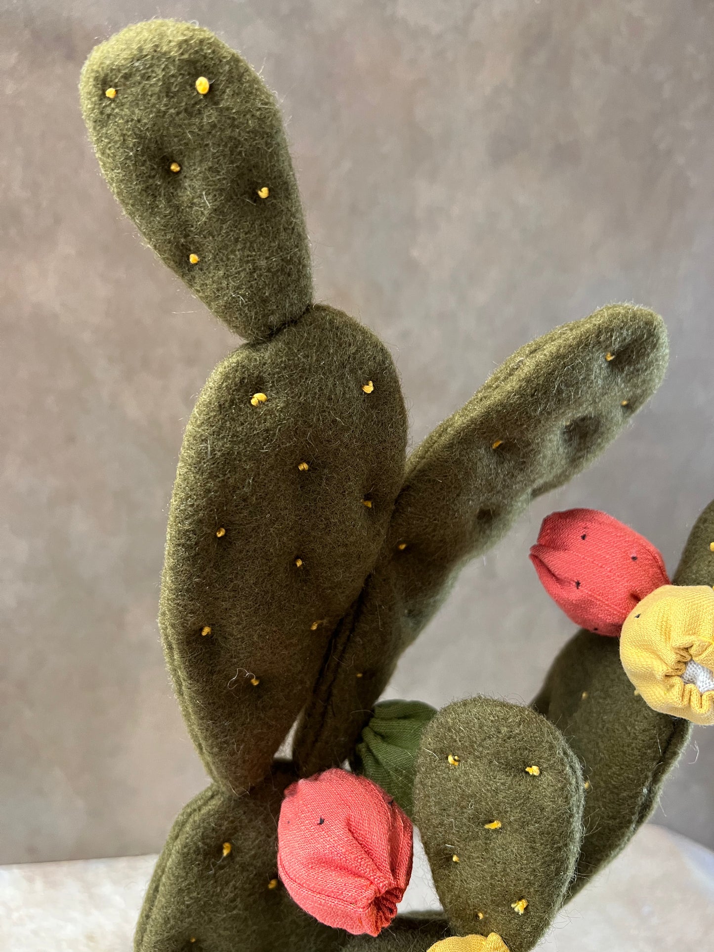 Opuntia