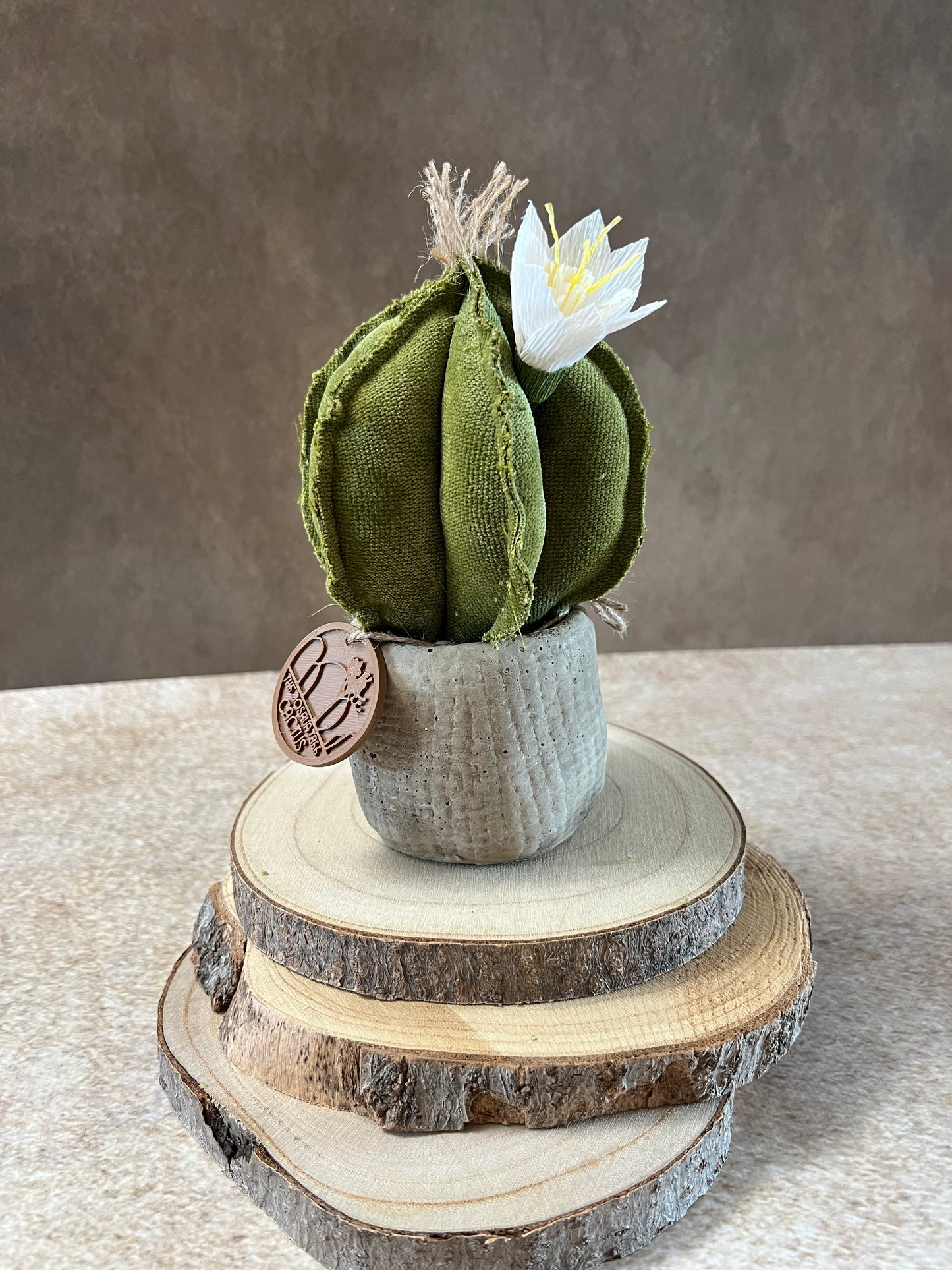 Mini Cactus in velluto verde, vaso in ceramica opaca simil cemento, altezza circa 19 cm