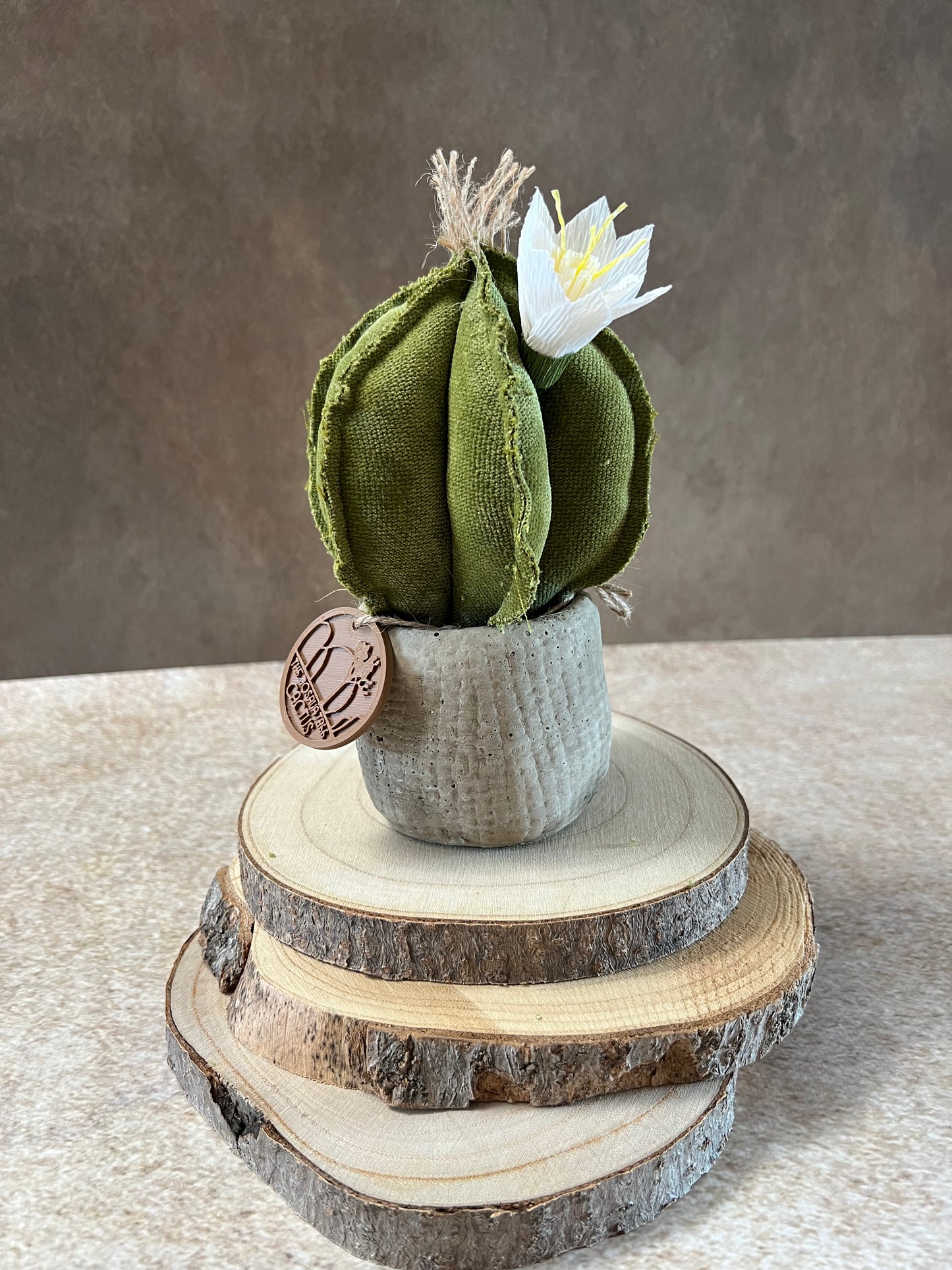 Mini Cactus in velluto verde, vaso in ceramica opaca simil cemento, altezza circa 19 cm