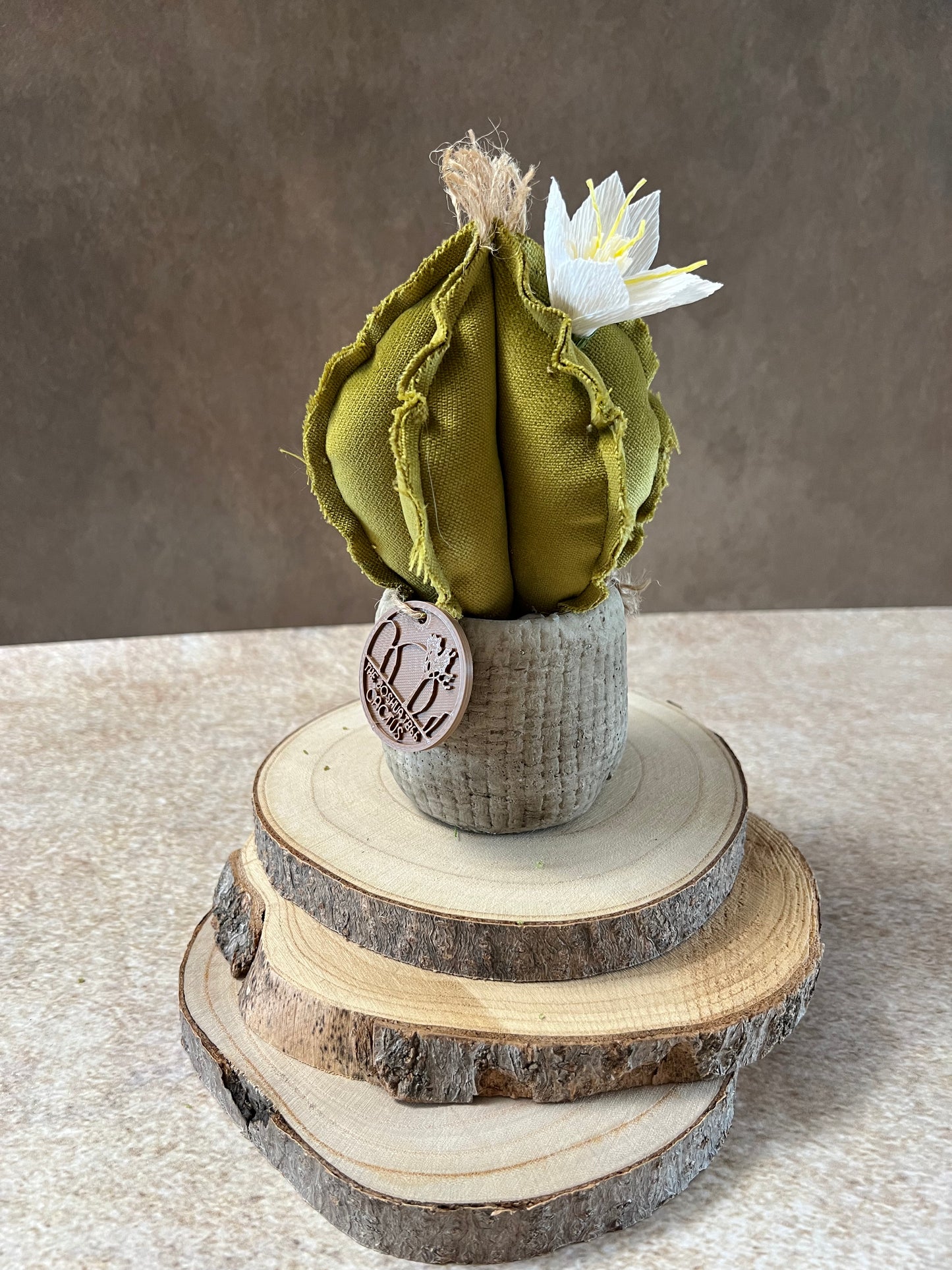 Mini Cactus in velluto verde chiaro, vaso in ceramica opaca simil cemento, altezza 19 cm
