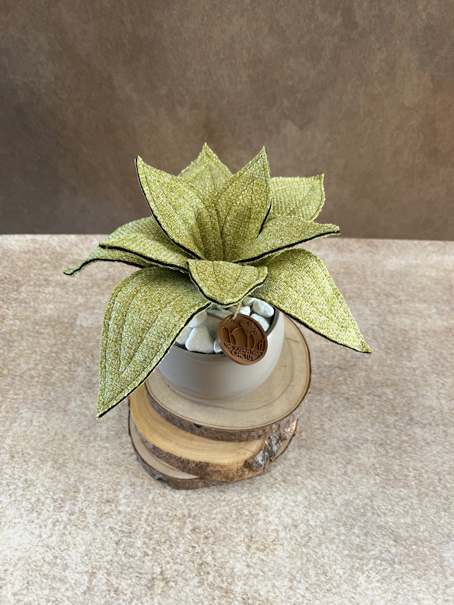 Agave mini