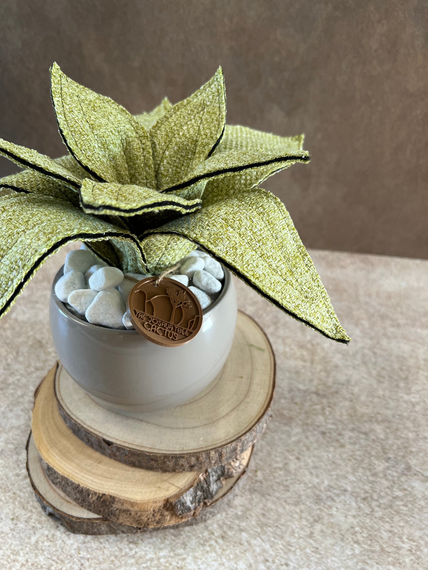Agave mini