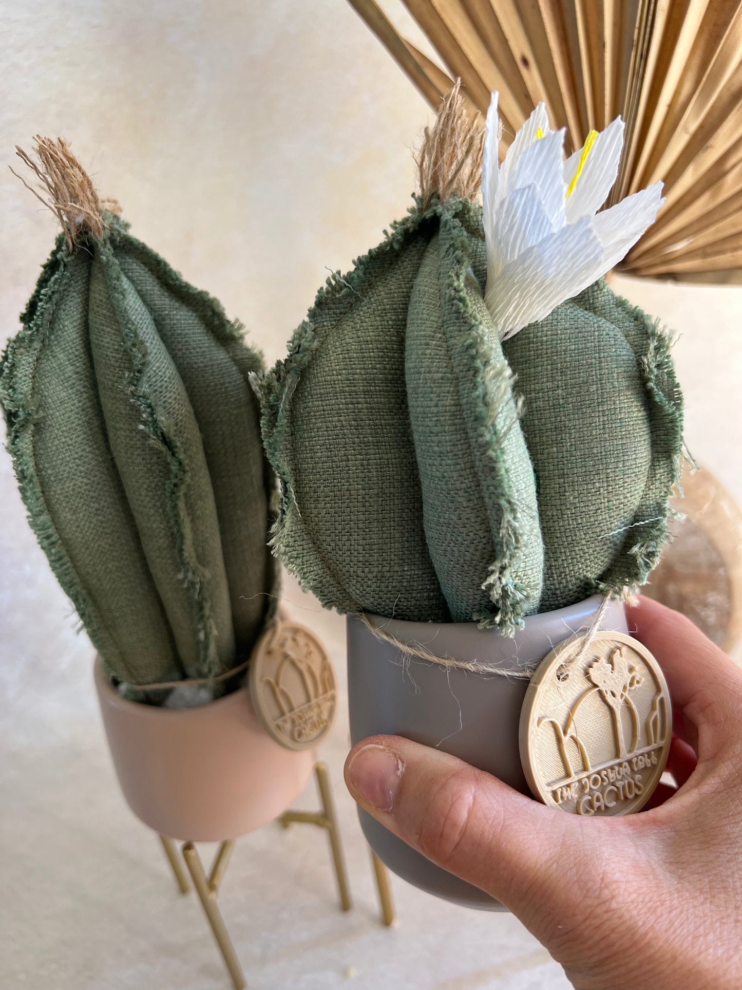 Coppia di mini Cactus in cotone verde, vasi in ceramica grigio e rosa antico opachi - h circa 18 e 23 cm - fiore staccabile.