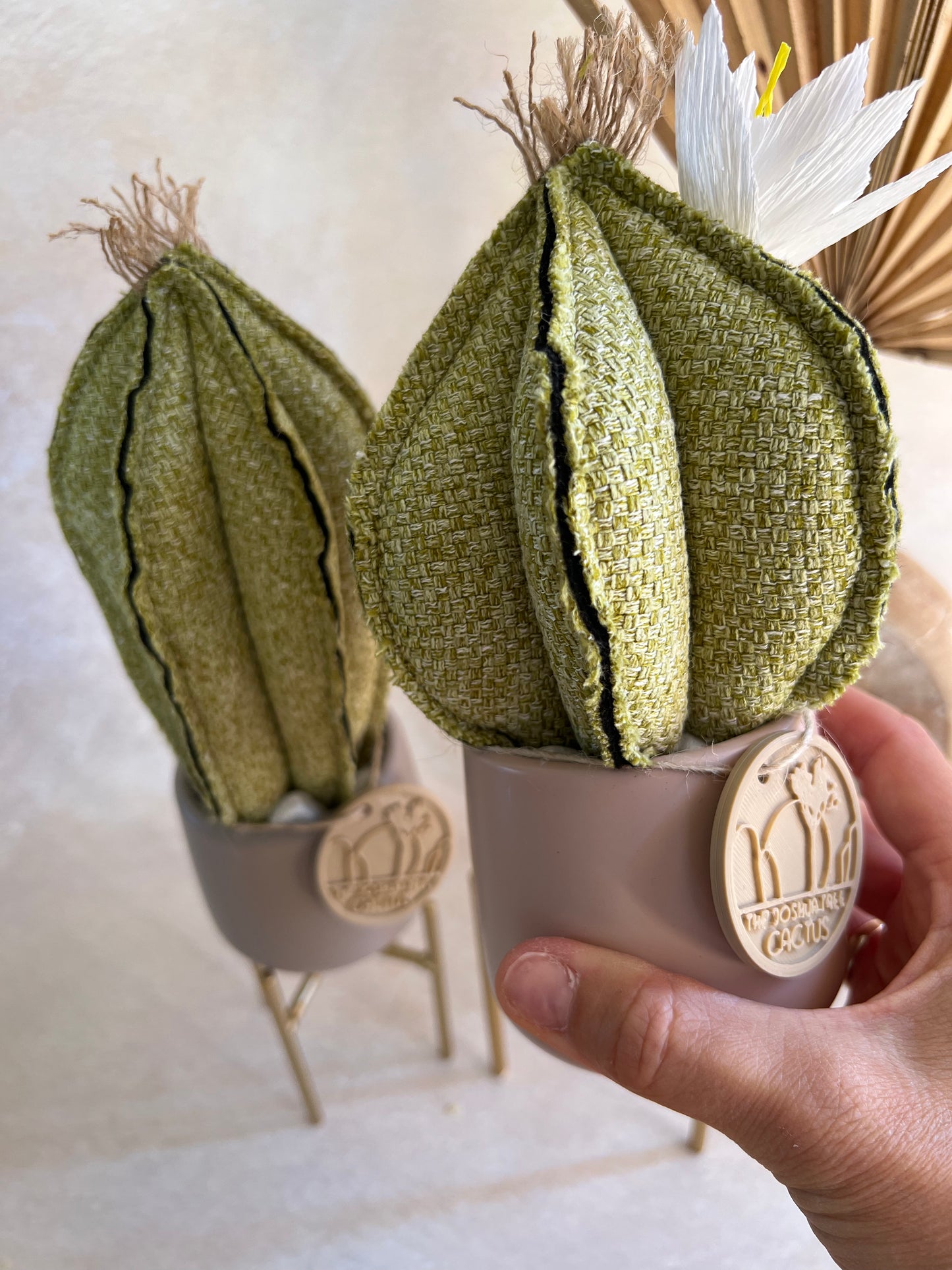 Coppia di mini Cactus in cotone verde, vasi in ceramica grigia e rosa antico opachi- h circa 18 e 23 cm - fiore staccabile.