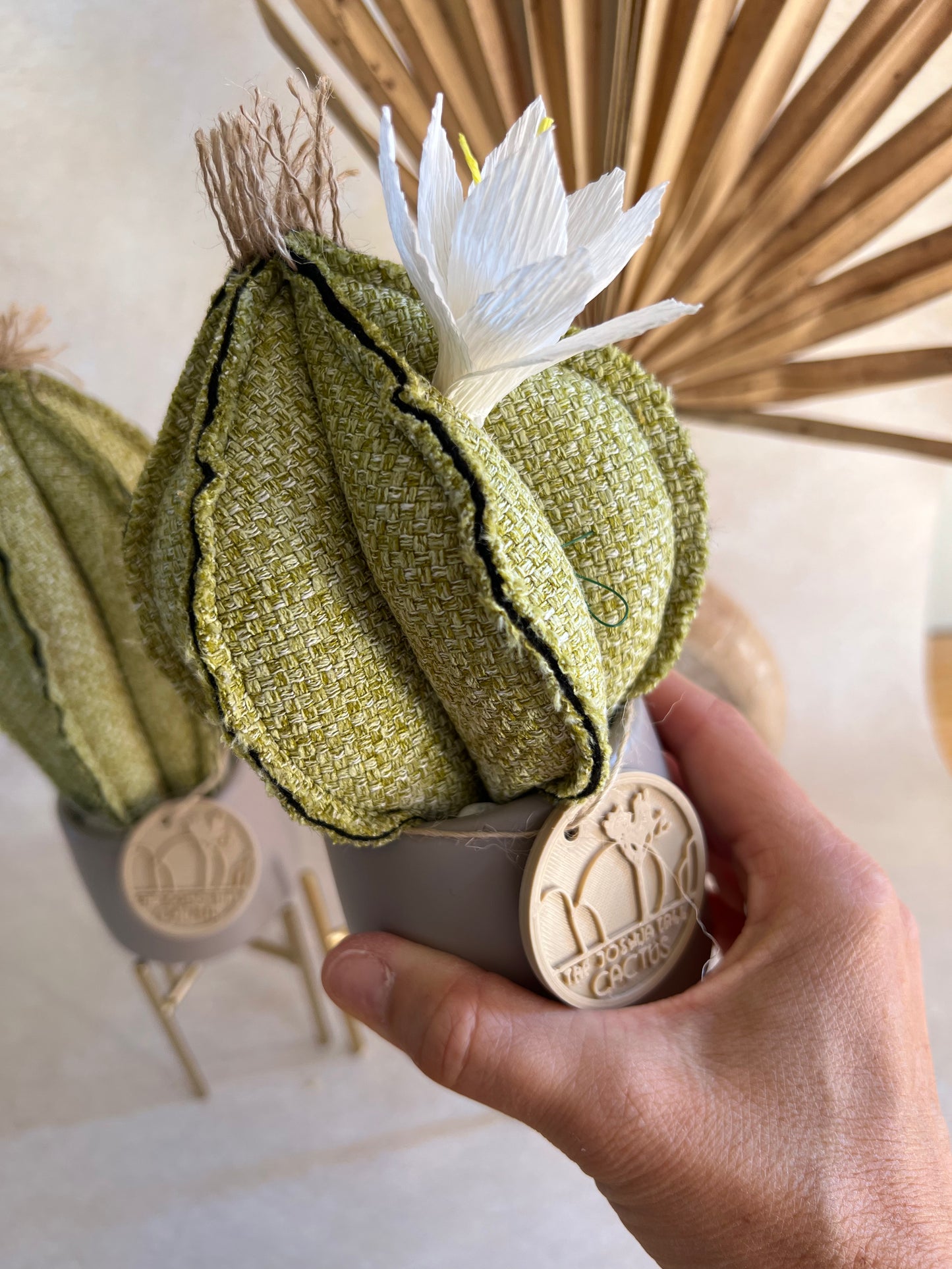 Coppia di mini Cactus in cotone Verde, vasi in ceramica opaca grigia liscia - h circa 18 e 23 cm - fiore staccabile.