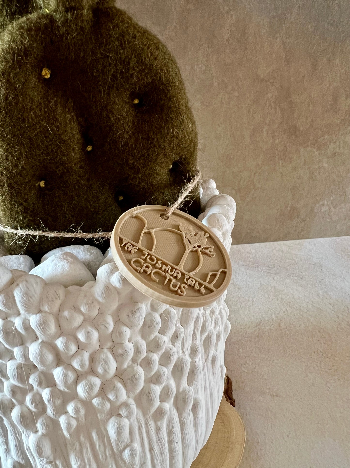 Opuntia in wool fabric complete with white ceramic vase and decorative stones.