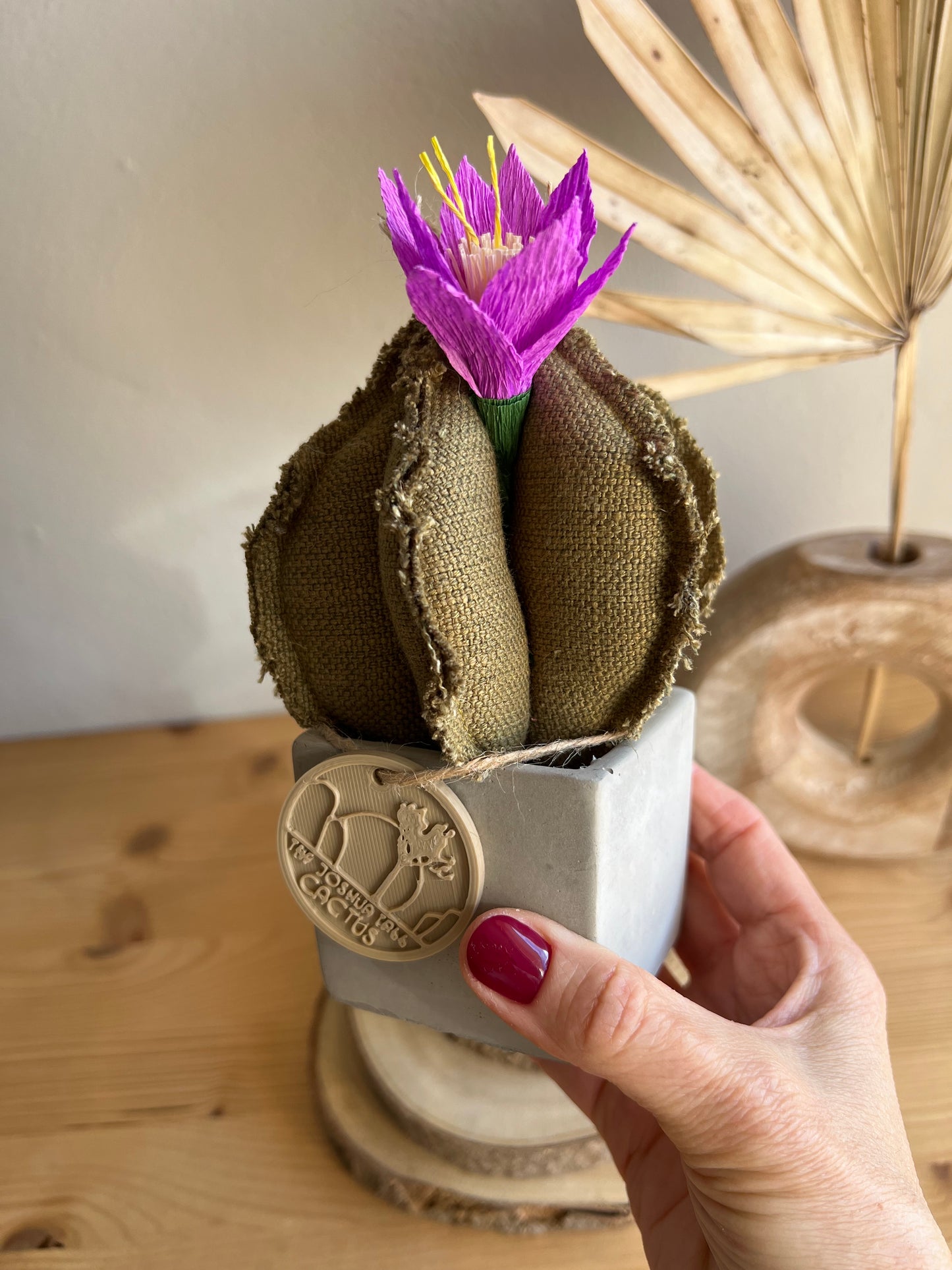 Mini Cactus in cotone verde, vaso in cemento grigio forma a cubo h circa 17 cm - fiore staccabile