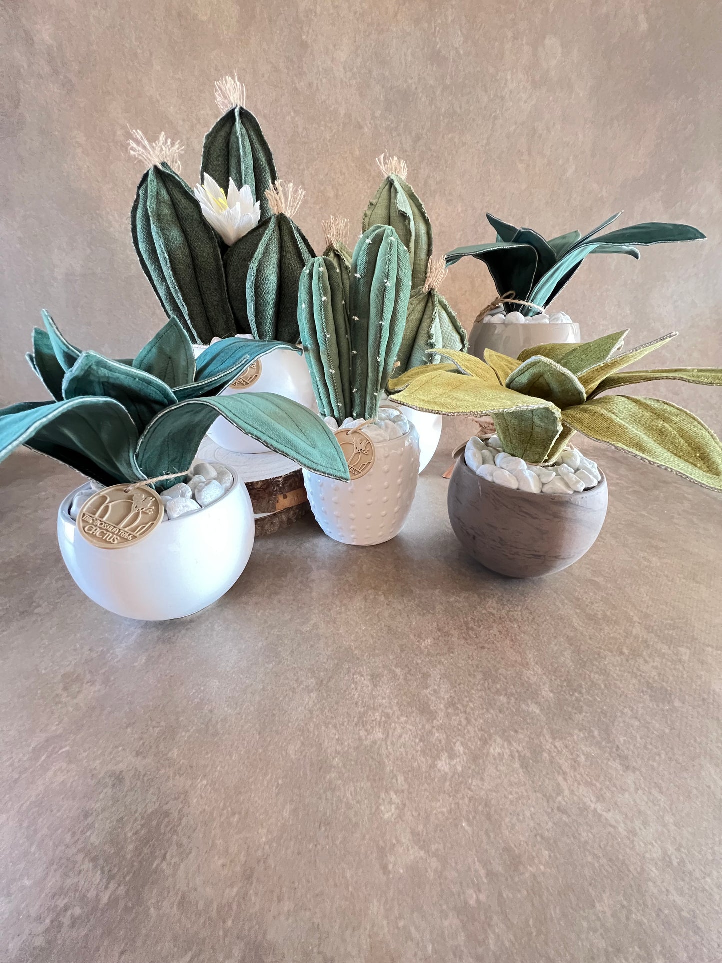 Composizione 3 cactus in cotone verde chiaro, vaso in ceramica bianca opaca h circa 31cm - fiore staccabile.
