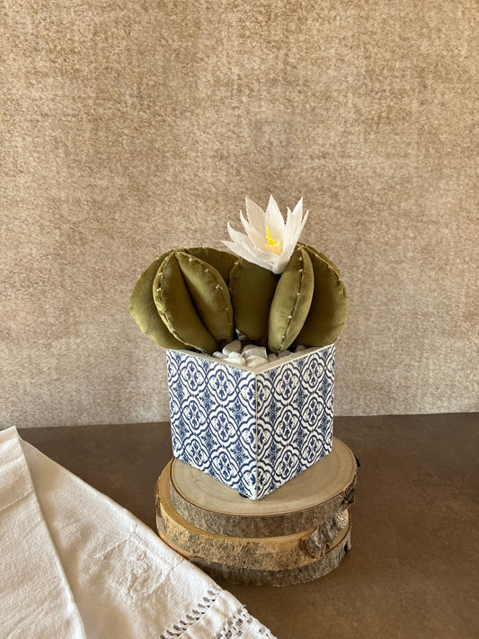 Opuntia in light green cotton with fruits, height 56 ​​cm, complete with ceramic vase