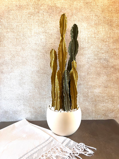 Composizione Cereus over