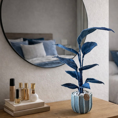 Cereus over composition