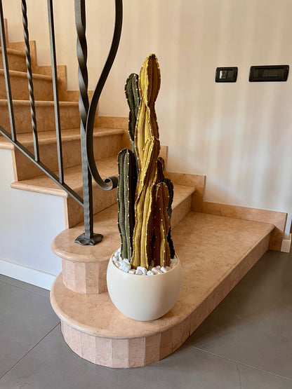 Composizione Cereus over