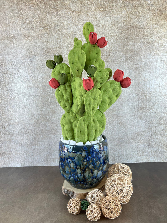 Opuntia Over
