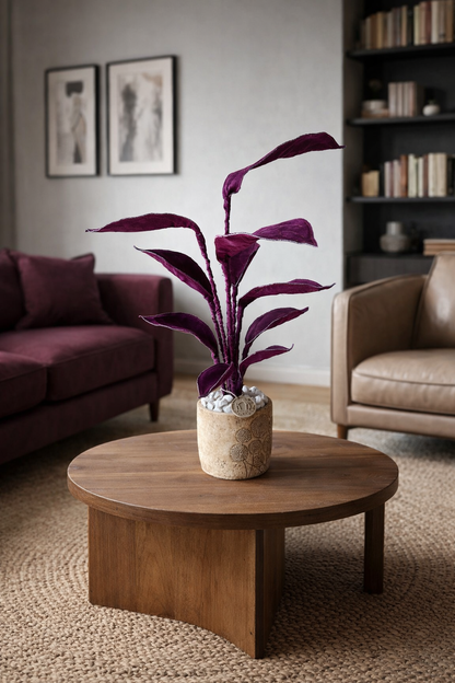 Cereus over composition