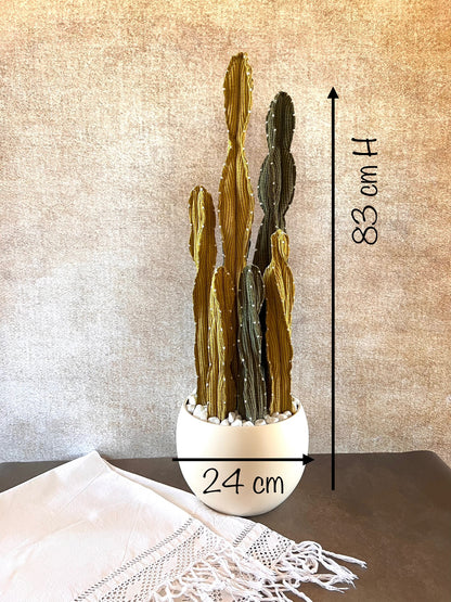 Composizione Cereus over