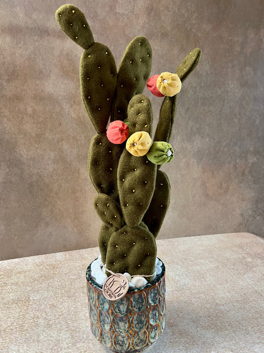 Opuntia