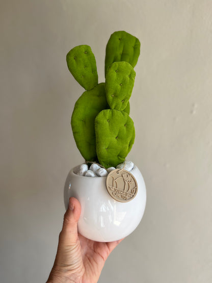 Mini Opuntia verde acido con vaso in ceramica bianco lucido - in pronta consegna