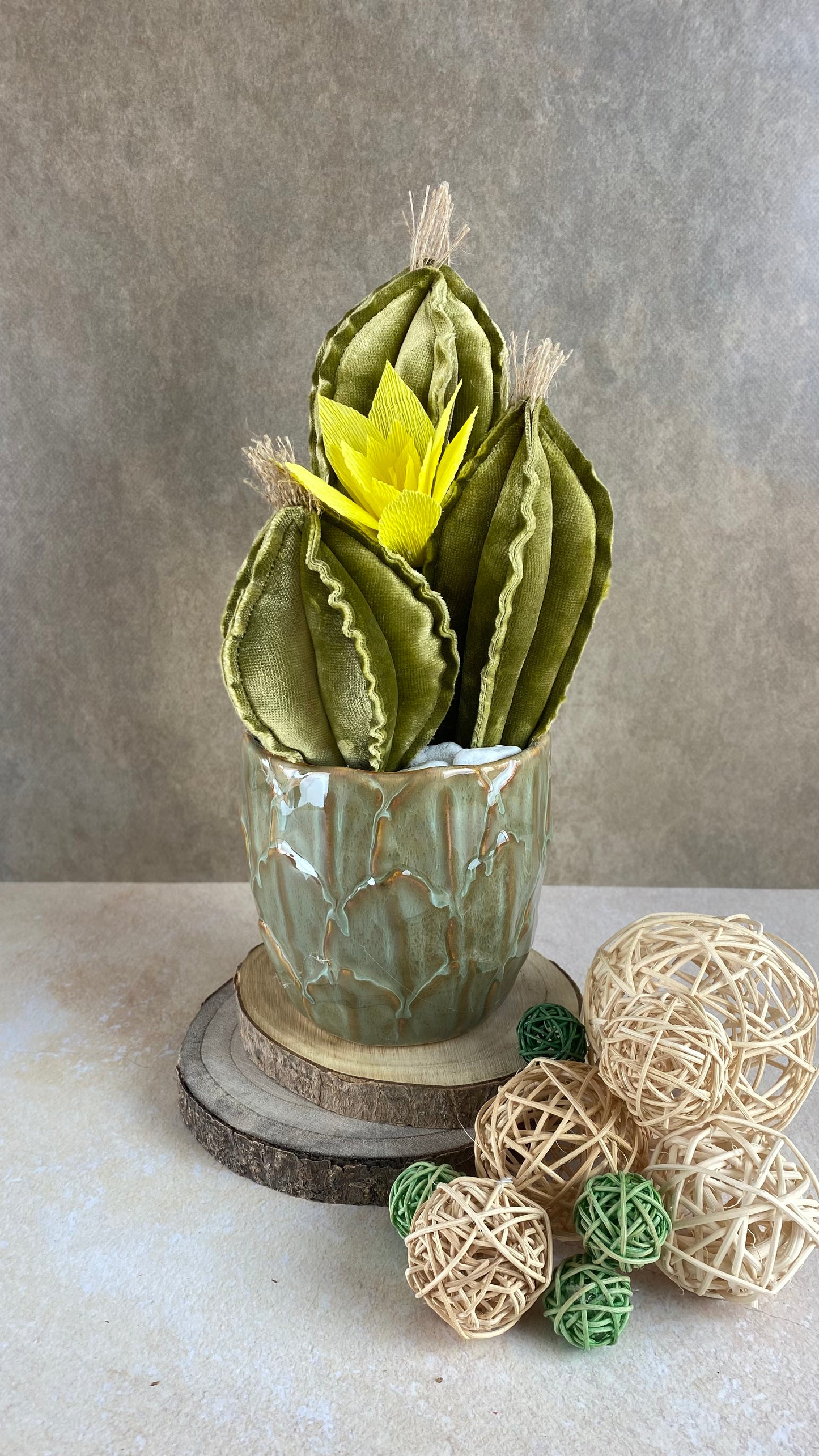 Blue velvet cactus composition with gray ceramic vase and decorative pebbles