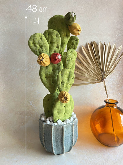 Opuntia in cotone verde chiaro vaso azzurro