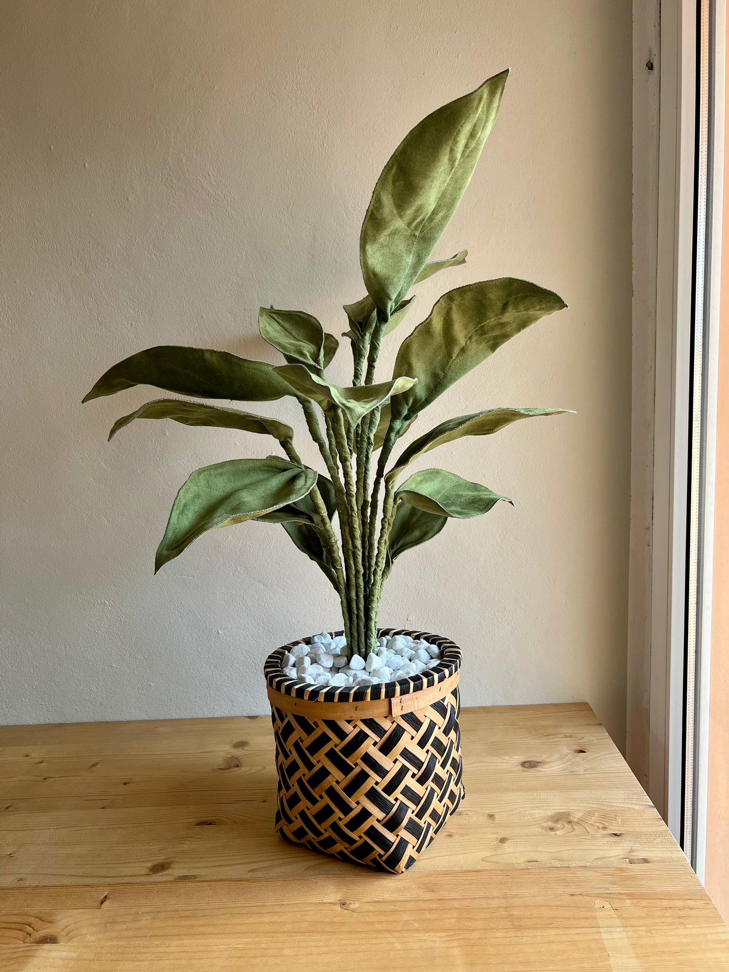 Cereus over composition