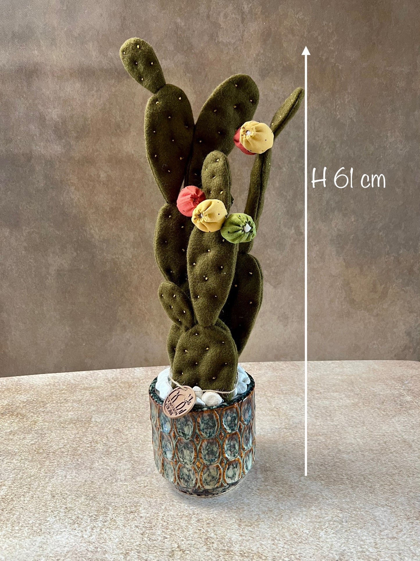Opuntia