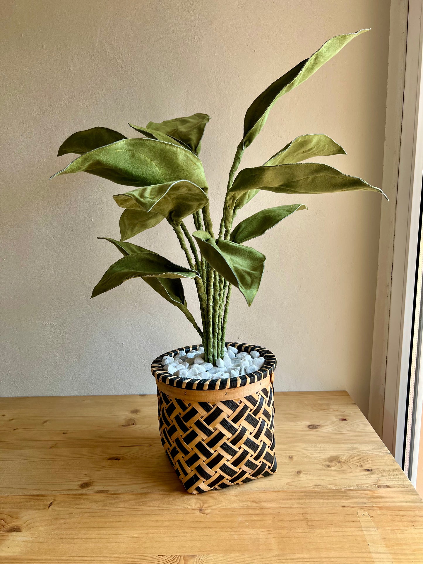 Cereus over composition