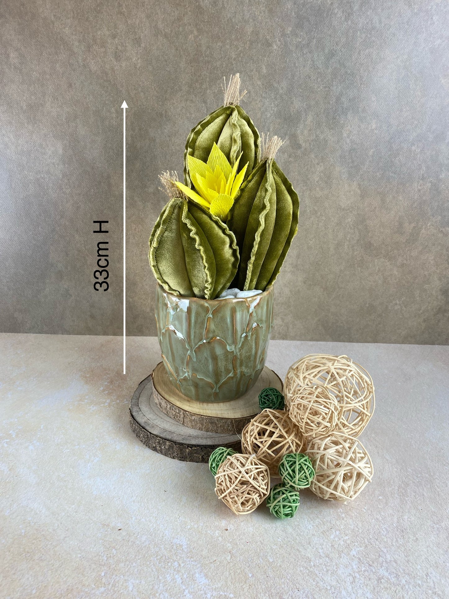 Blue velvet cactus composition with gray ceramic vase and decorative pebbles