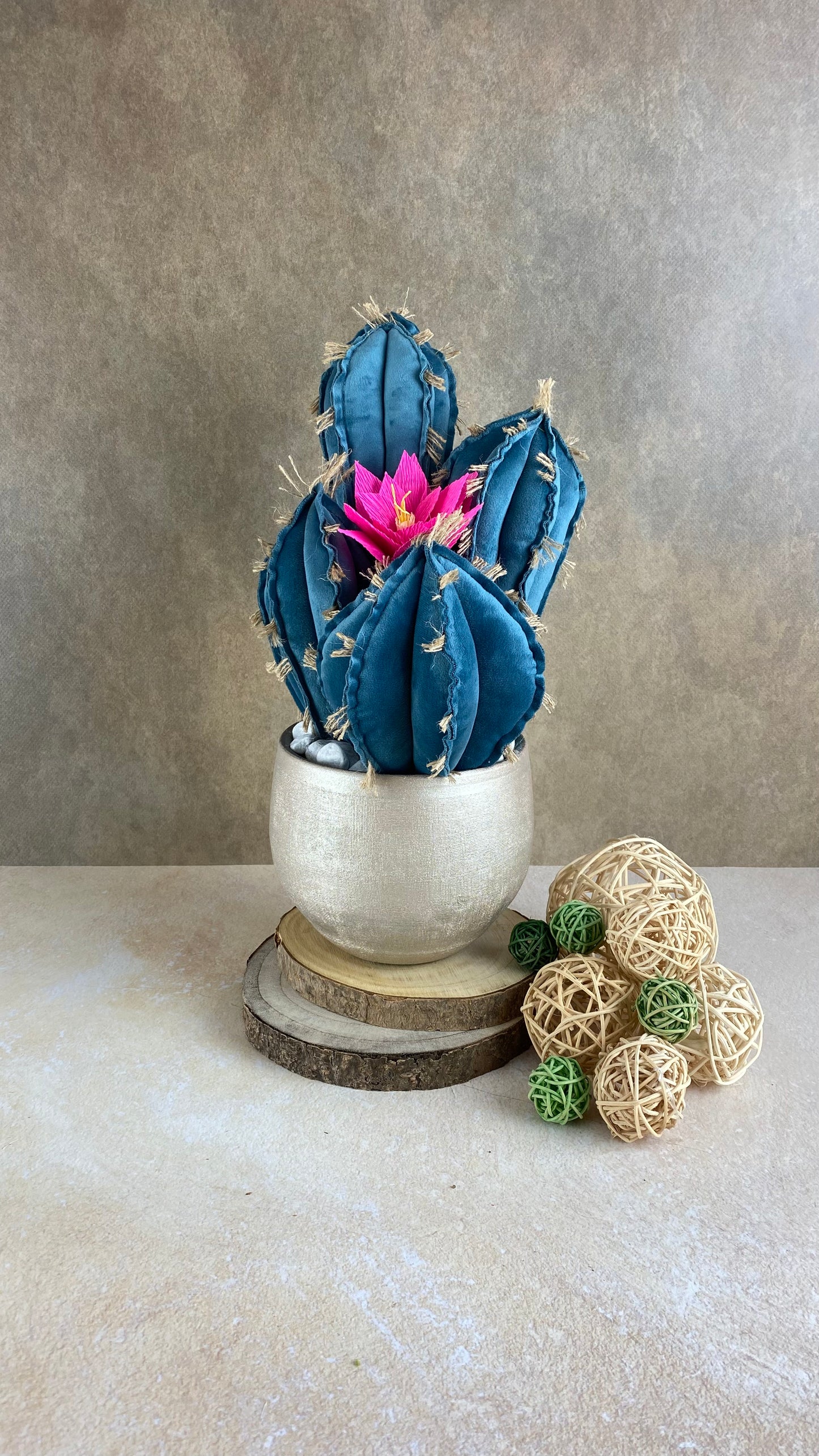 Blue velvet cactus composition with gray ceramic vase and decorative pebbles