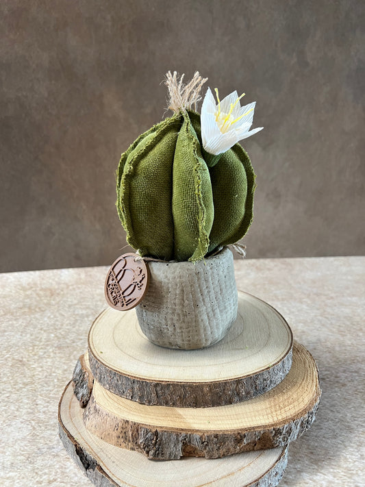 Mini Cactus in velluto verde, vaso in ceramica opaca simil cemento, altezza circa 19 cm