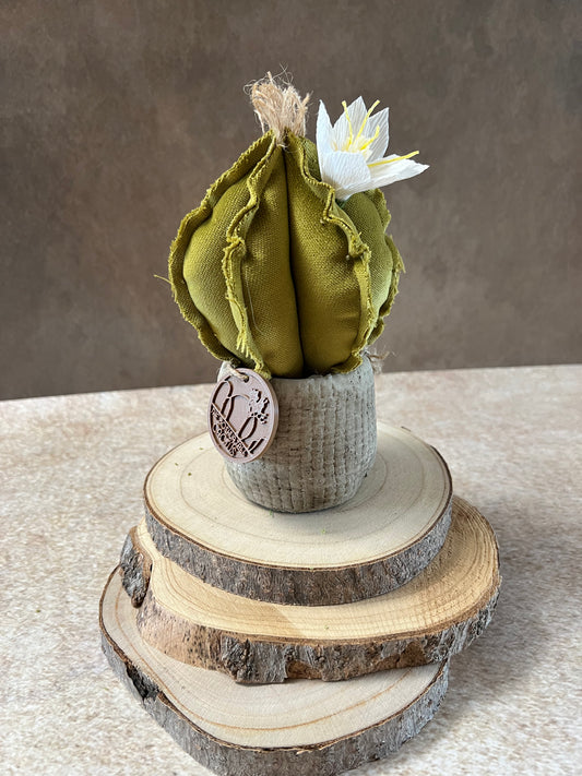 Mini Cactus in velluto verde chiaro, vaso in ceramica opaca simil cemento, altezza 19 cm
