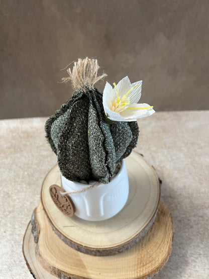 Mini Cactus in cotone mélange verde scuro, vaso in ceramica lucida bianca con motivo "volto", altezza circa 19 cm.