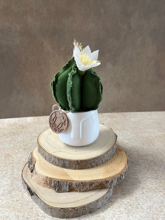 Mini Cactus in cotone verde scuro, vaso in ceramica lucida bianca con motivo "volto", altezza circa 19 cm. (Copia)