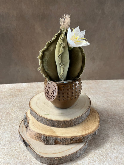 Mini Cactus in velluto verde, vaso in ceramica lucida color marrone con motivo puntinato, altezza circa 19 cm