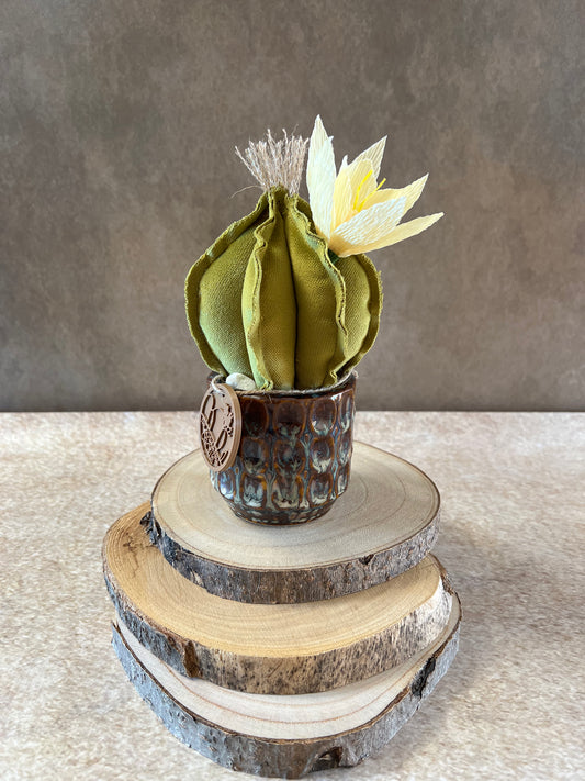 Mini Cactus in velluto verde, vaso in ceramica lucida color marrone con sfumature grigio/azzurro, altezza circa 17 cm.