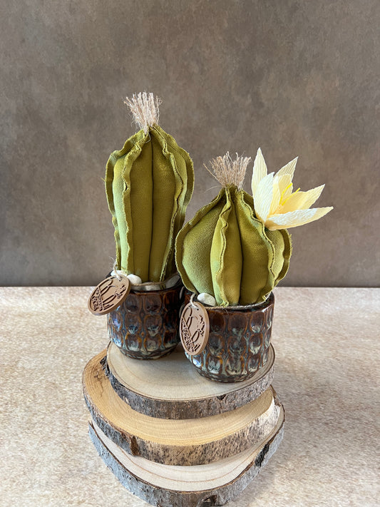 Coppia di mini Cactus in velluto verde, vaso in ceramica lucida color marrone con sfumature grigio/azzurro, altezza circa 22 cm e 17 cm.