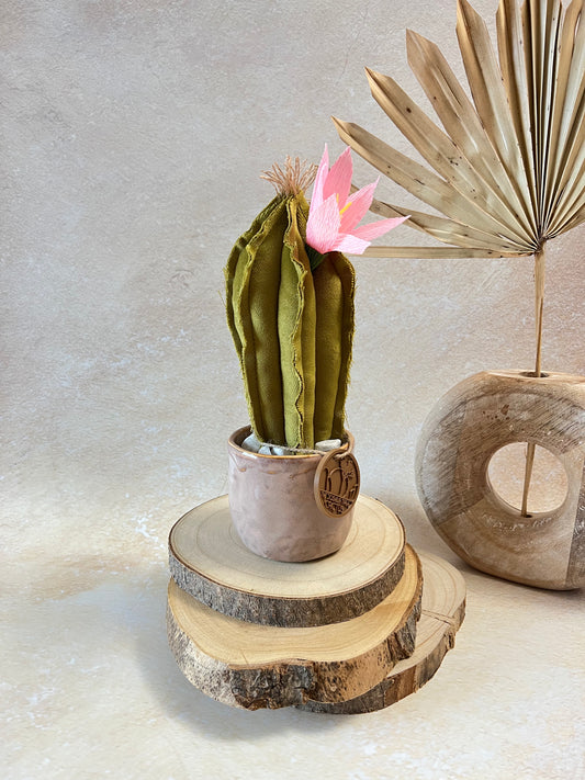Mini Cactus in velluto verde chiaro, vaso in ceramica lucida rosa antico, altezza circa 23 cm.