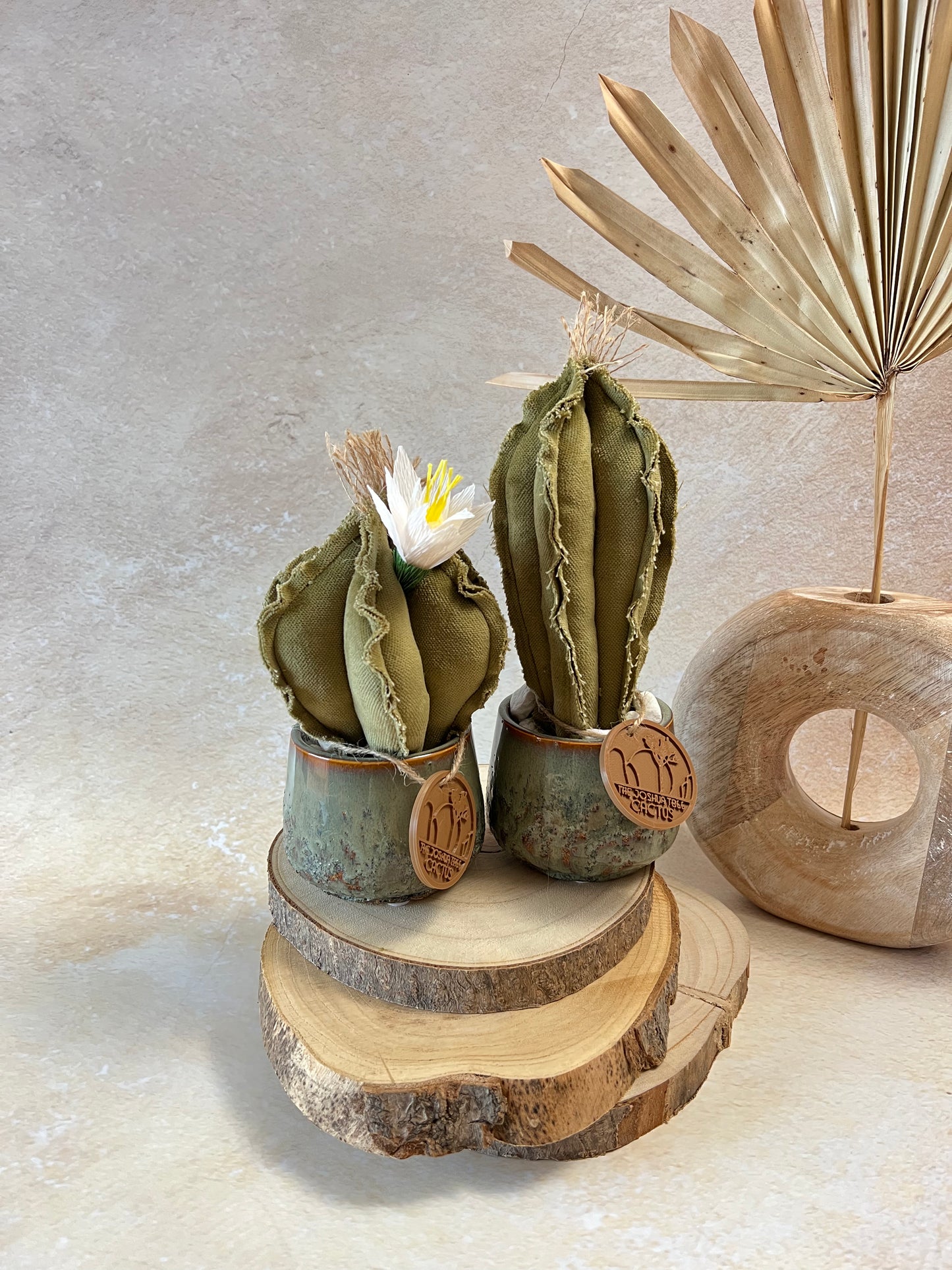 Coppia di mini Cactus in velluto verde menta, vaso in ceramica lucida verde disegno astratto, altezza circa 17 cm e 22 cm.