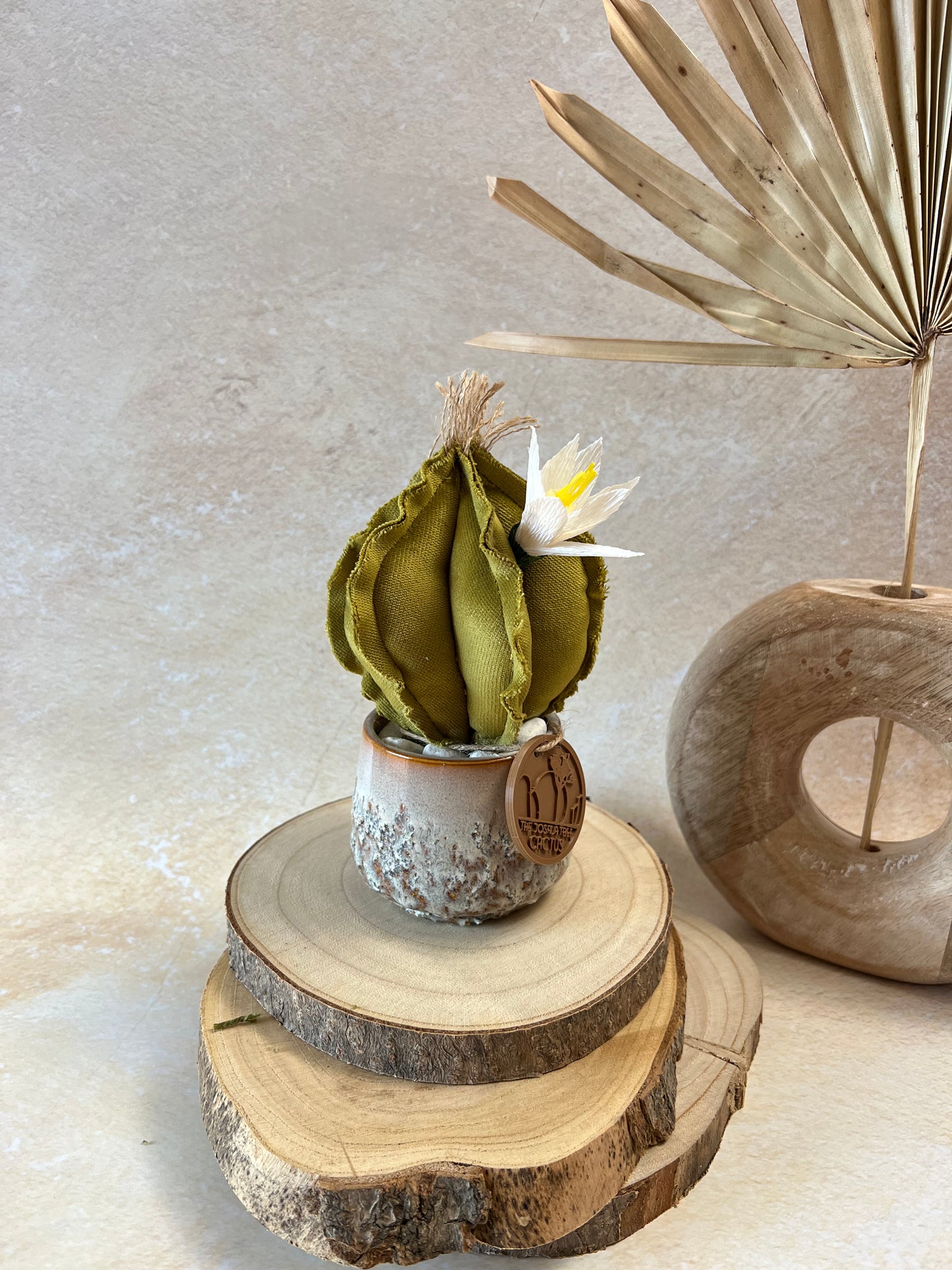 Mini Cactus in velluto verde chiaro, vaso in ceramica lucida chiara disegno astratto, altezza circa 17 cm.