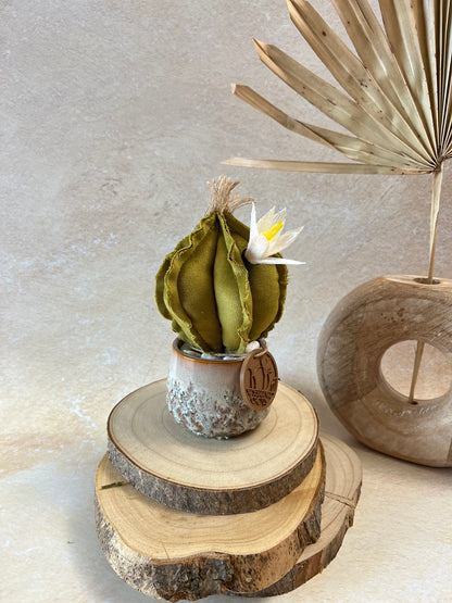 Mini Cactus in velluto verde chiaro, vaso in ceramica lucida chiara disegno astratto, altezza circa 17 cm.