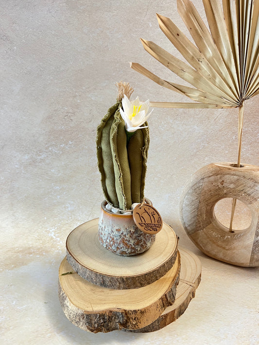 Mini Cactus in velluto verde menta, vaso in ceramica lucida chiara disegno astratto, altezza circa 22 cm.